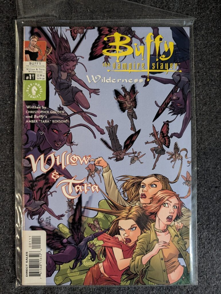 Buffy the Vampire Slayer: Willow & Tara - Wilderness #1 front cover