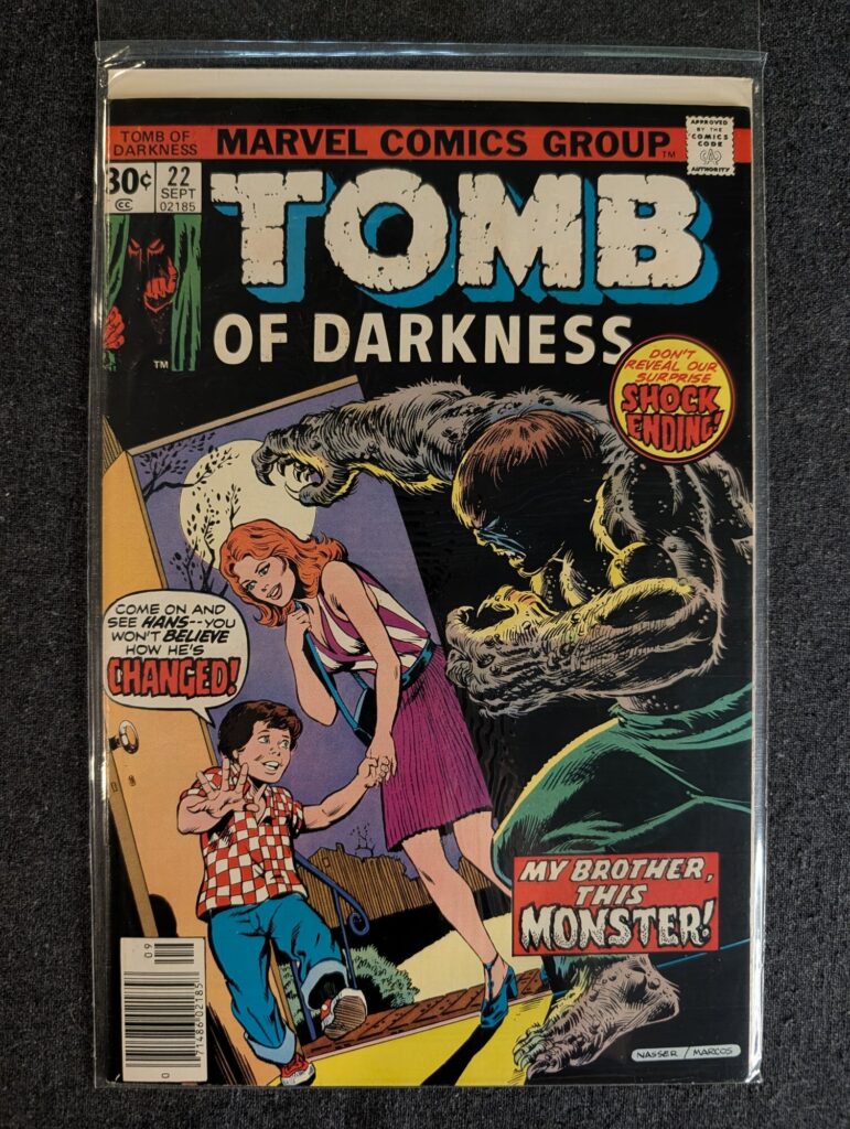 Tomb of Darkness #22 front cover