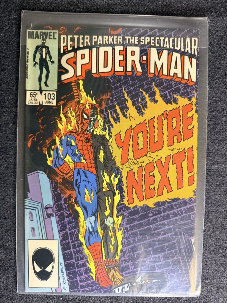 Peter Parker, The Spectacular Spider-Man #103 front cover