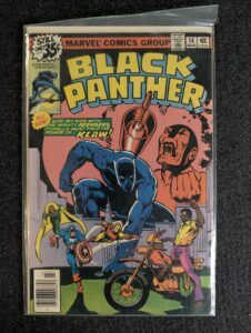 Black Panther #14 front cover