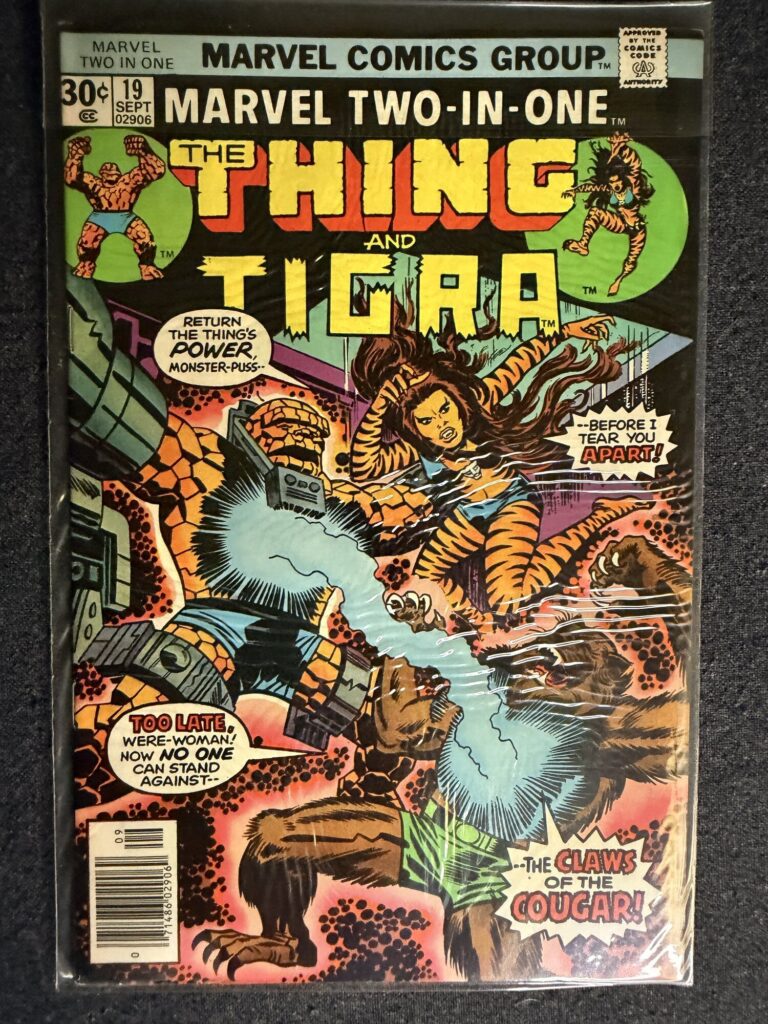 Marvel Two-in-One #19 front cover