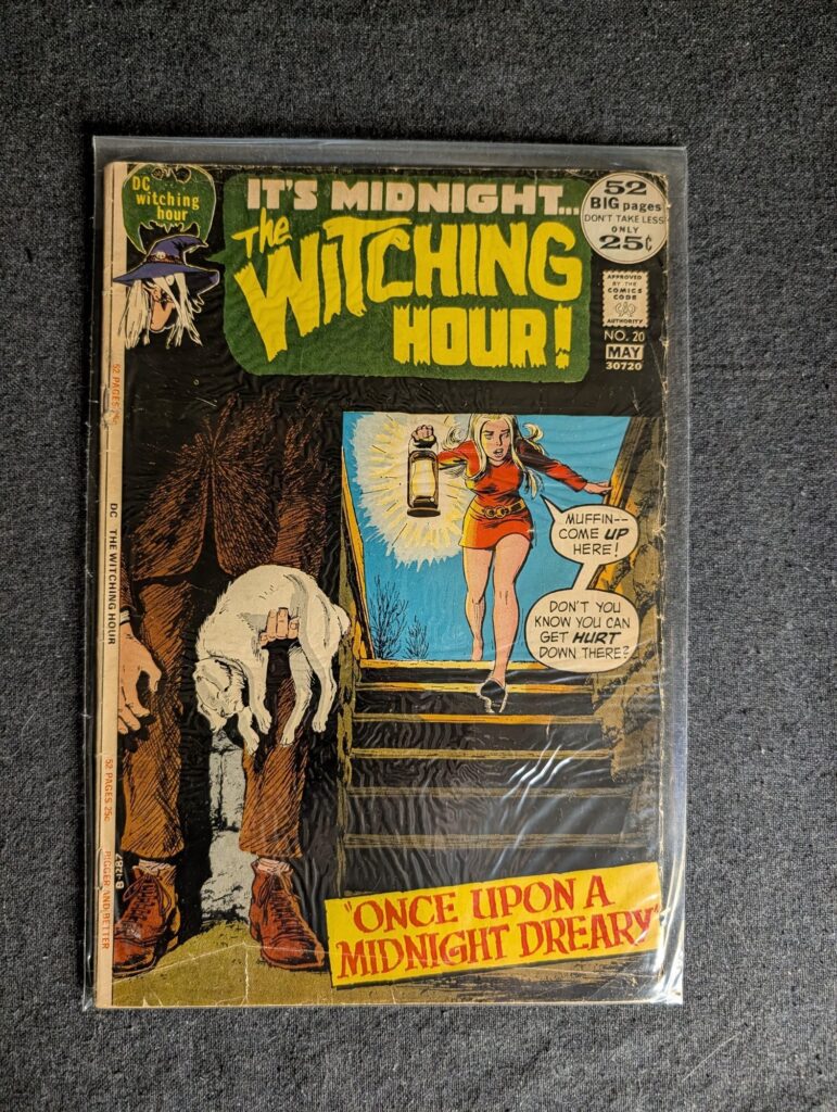 The Witching Hour #20 front cover