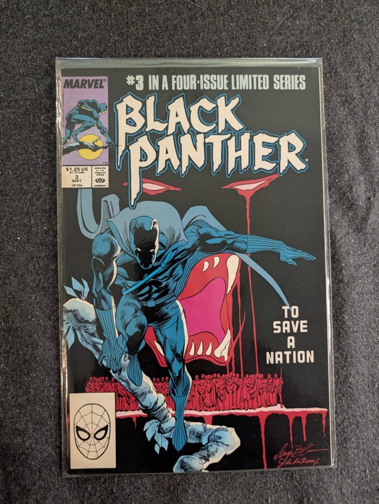 Black Panther #3 front cover