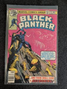 Black Panther #13 front cover
