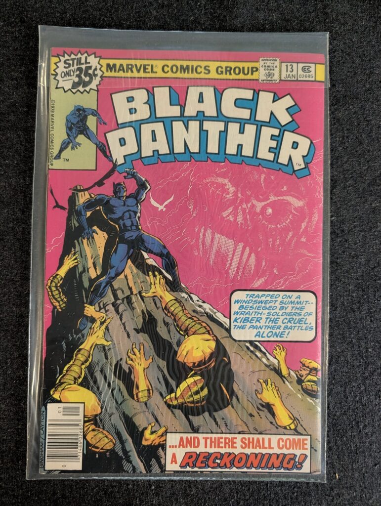 Black Panther #13 front cover