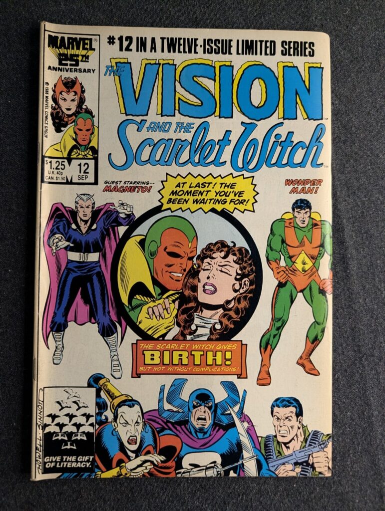 The Vision and the Scarlet Witch #12 front cover
