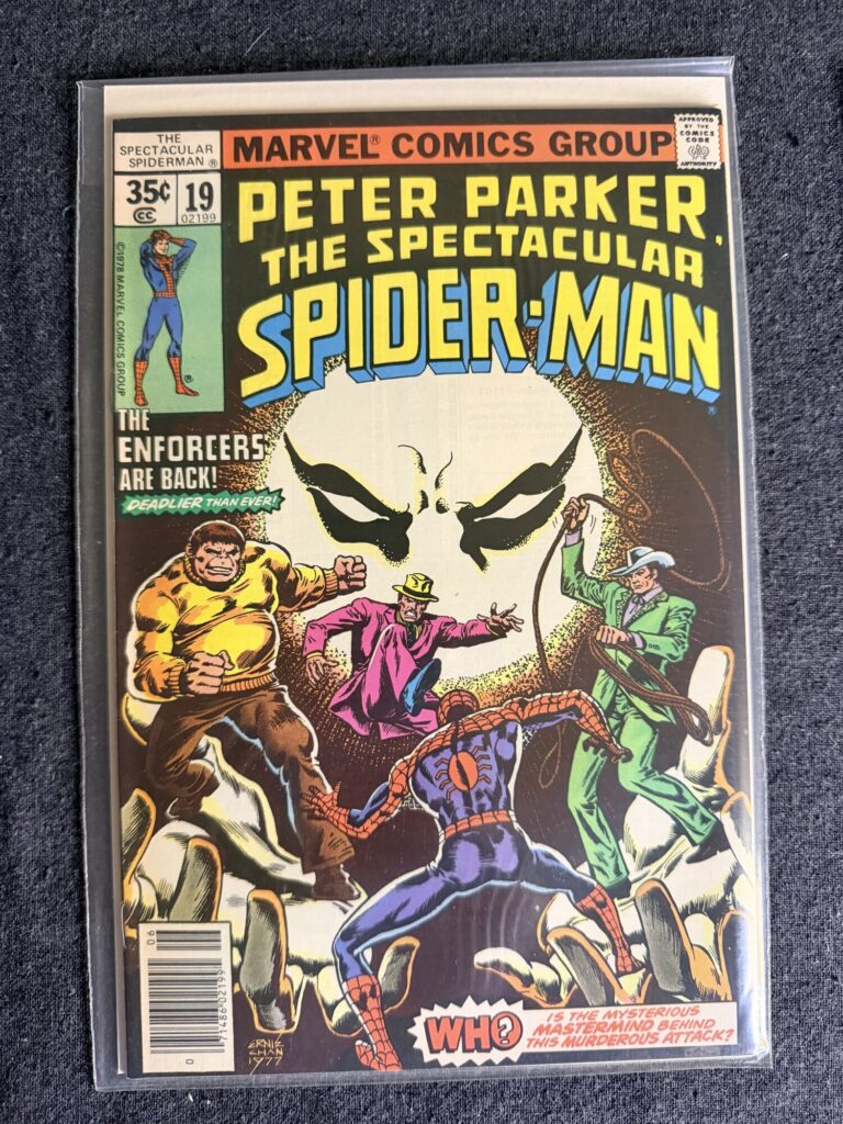 Peter Parker, The Spectacular Spider-Man #19 front cover