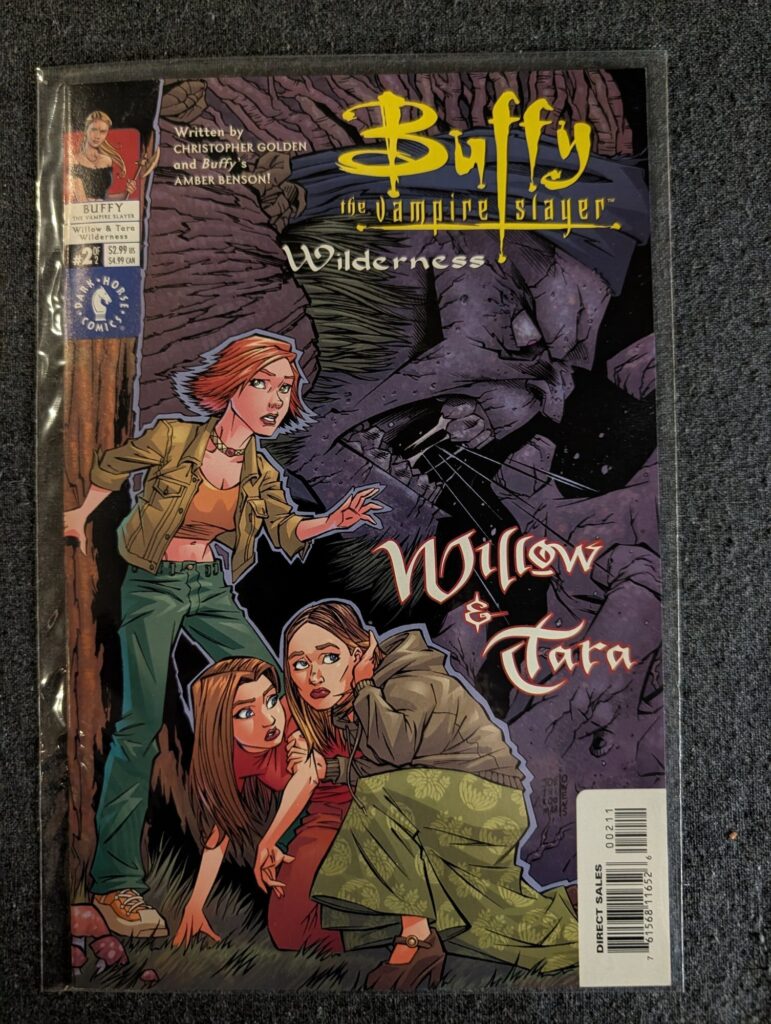 Buffy the Vampire Slayer: Willow & Tara - Wilderness #2 front cover